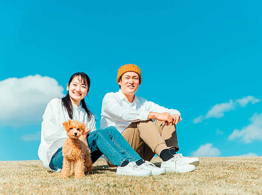 ペット保険 名護市